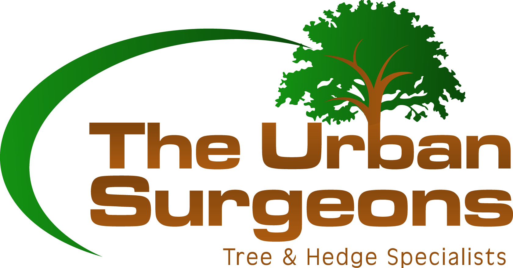 Tree Surgery Worthing